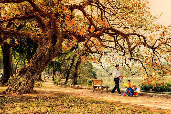 voyager Vietnam automne Hanoi